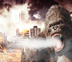 King Kong Design