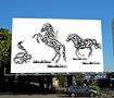 Caligraphic horses composition