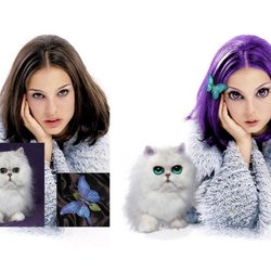 Photo Editing