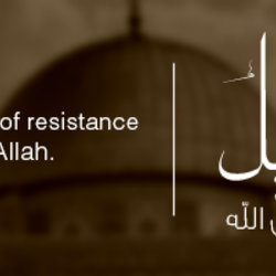 65 years of injustice 65 years of resistance