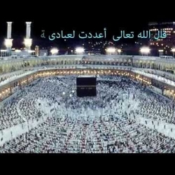 ماهى الجنة ؟