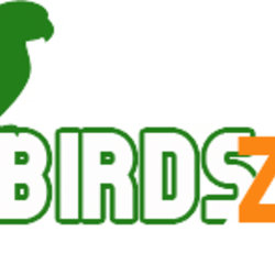 LOGO SAMPLES