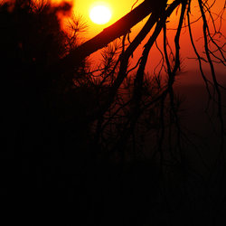 Photographing