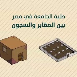 infographic Egyptian students انفوجرافيك الطلبة في مصر