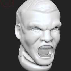 3d heads