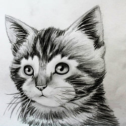 FREE HAND DRAWING
