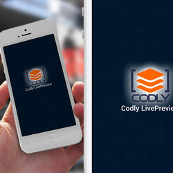  Codly LivePreview Option 2