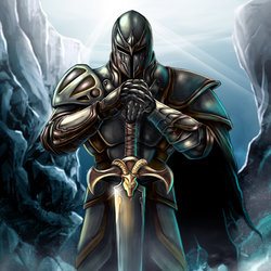 knight Seldom