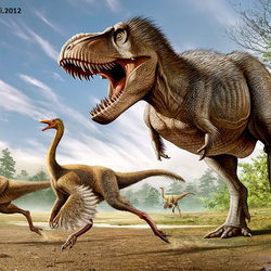 T.Rex VS Struthiomimus