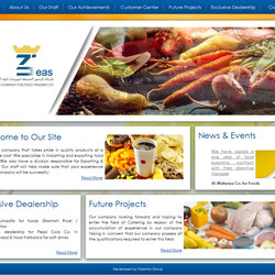 Web Design (old work)