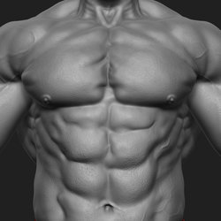 Body Builder