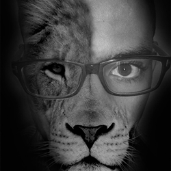 face lion 