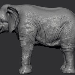2 - Elephant 