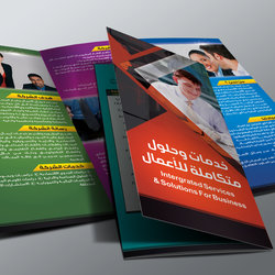 Brochures &amp;amp; Flyers Collection