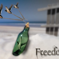 My Design