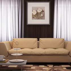 Interior Designs 