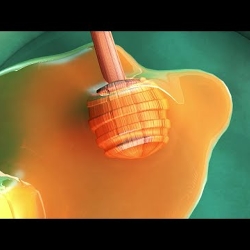 Honey 3d