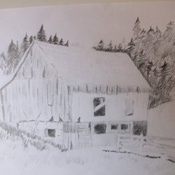 Pencil Drawing