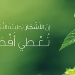 Facebook Covers