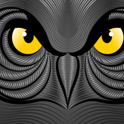 owl illustation