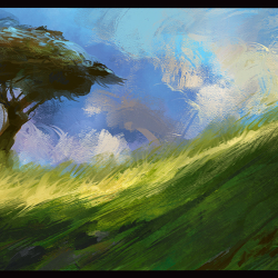 storm field