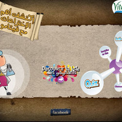1 - Website Flash