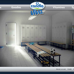 2 - Website Flash