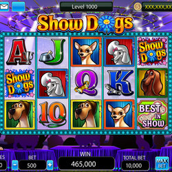 Slots game  