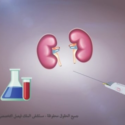 kidney renal biopsy