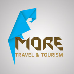 more logo