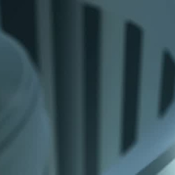 Logo - Zoom X