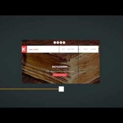     Motion portfolio _ Dynamic