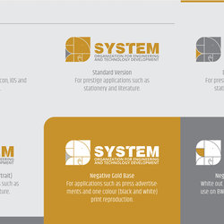 System Organization Identity