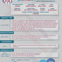 my cv