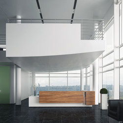 RECEPTION INTERIOR