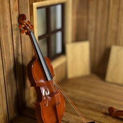 Violin 