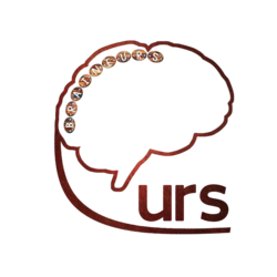   Logo for Braineurs Team 