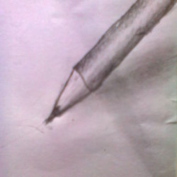 قلم رصاص