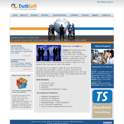 TS - Websites