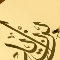 BIN  ZAYED  GROUP
