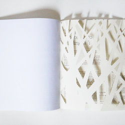 Architectural Book : Toyo Ito