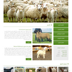 موقع حراج الأغنام السعودى