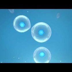 Hive TV ident