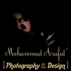poster and more