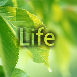 life