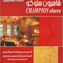 Flier