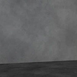 3D Videos