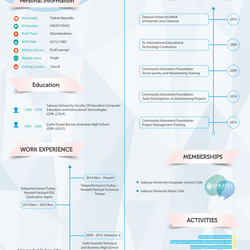 2 - Cv Infograpic