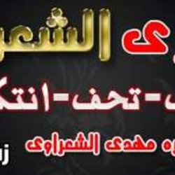 جاليرى الشعراوى