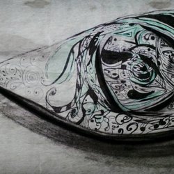 Fish-eye